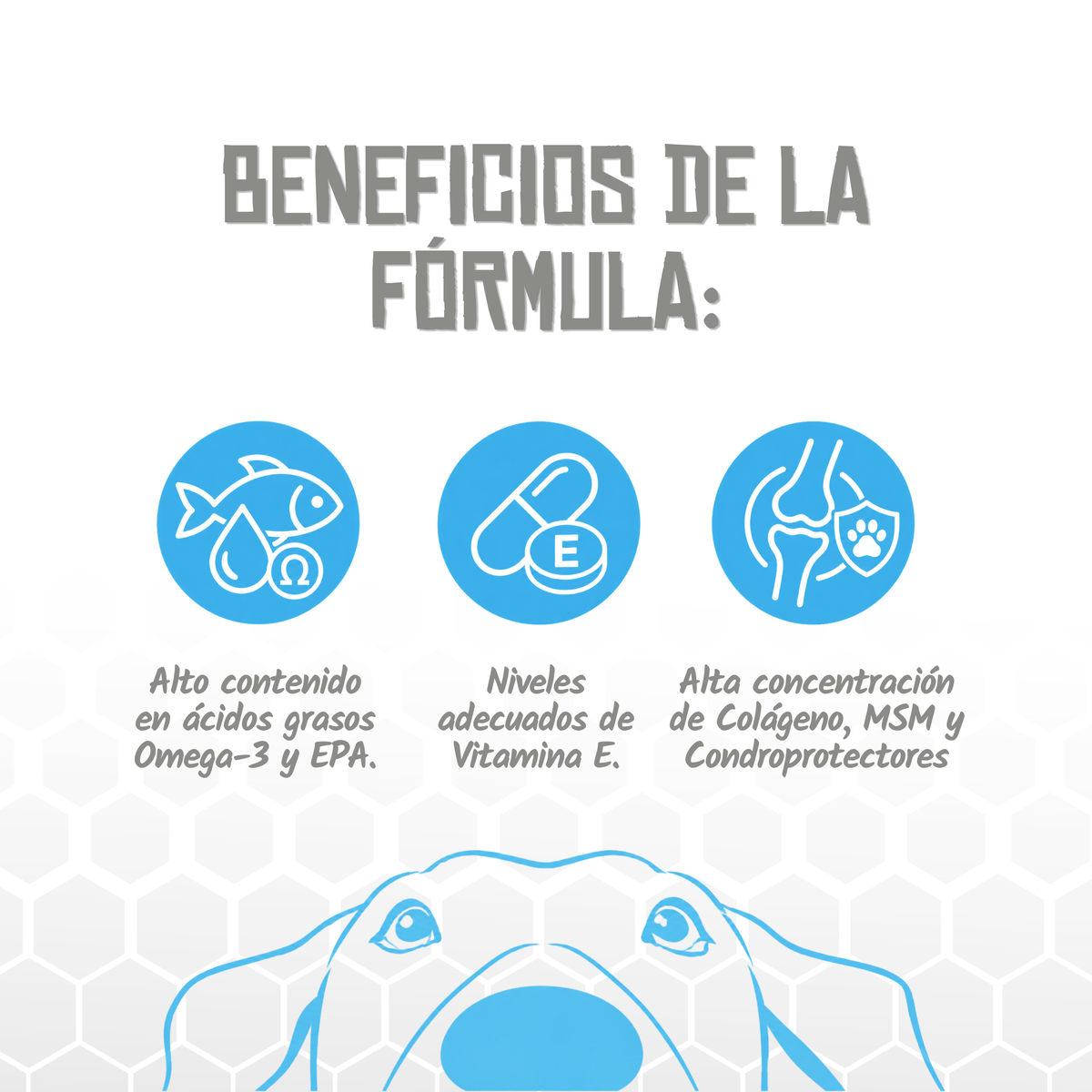 Iconos de beneficios de la fórmula Mobility and Joints de Lenda, EAN 8435578250007 / 8435578250014