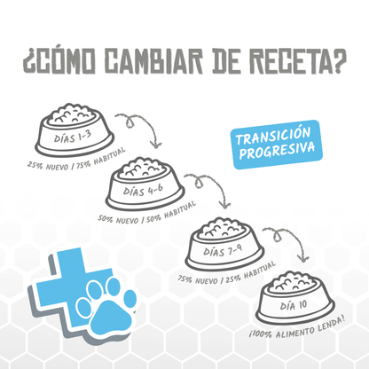 Guía de Lenda para cambiar de receta en diez días, EAN 8435578250007 / 8435578250014