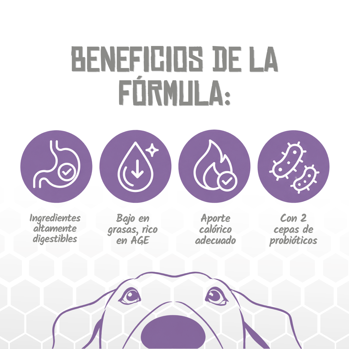 Iconos de beneficios de la fórmula Pancreatic de Lenda, EAN 8435578250205 / 8435578250212