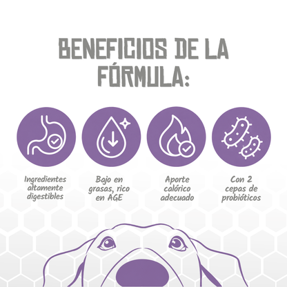 Iconos de beneficios de la fórmula Pancreatic de Lenda, EAN 8435578250205 / 8435578250212