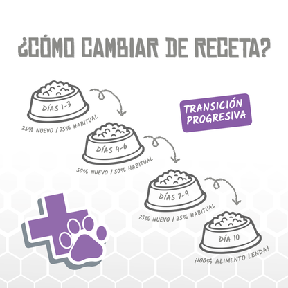 Guía de Lenda para cambiar de receta en diez días, EAN 8435578250205 / 8435578250212