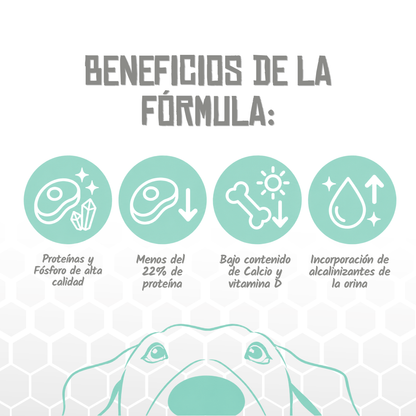Iconos de beneficios de la fórmula Renal and Oxalate de Lenda, EAN 8435578250106 / 8435578250113