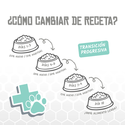 Guía de Lenda para cambiar de receta en diez días, EAN 8435578250106 / 8435578250113