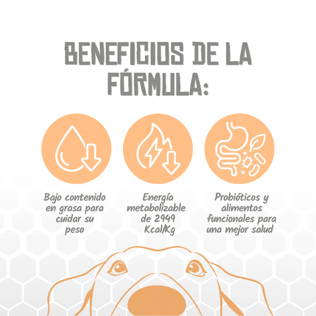 Iconos de beneficios de la fórmula Slimming and Sterilized de Lenda, EAN 8435578250045 / 8435578250052