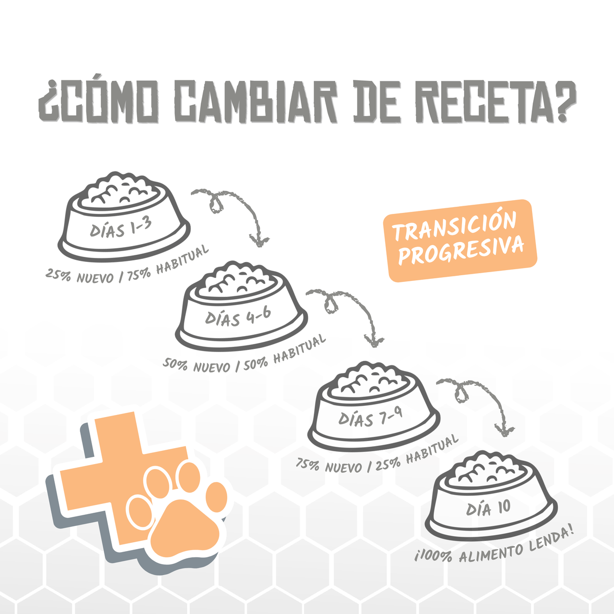 Guía de Lenda para cambiar de receta en diez días, EAN 8435578250045 / 8435578250052