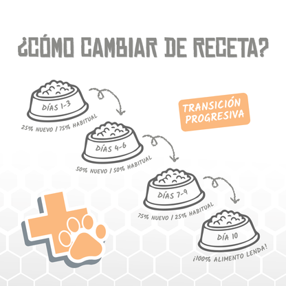 Guía de Lenda para cambiar de receta en diez días, EAN 8435578250045 / 8435578250052