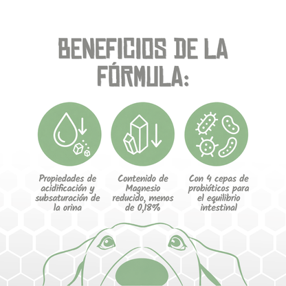 Iconos de beneficios de la fórmula Urinary and Struvite de Lenda, EAN 8435578250120 / 8435578250137