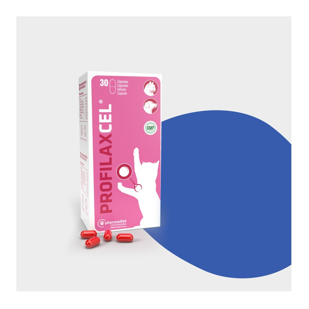 Estuche de Profilaxcel cápsulas para perros y gatos de Pharmadiet con 30 cápsulas blandas