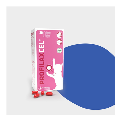 Estuche de Profilaxcel cápsulas para perros y gatos de Pharmadiet con 30 cápsulas blandas