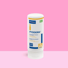 Bote Pyoderm Virbac champú dermatológico 250 ml sobre fondo rosa bicolor, etiqueta blanca con detalles naranja y azul, texto Dermatological shampoo Chlorhexidine Purifies and cleanses Maintains skin integrity, sello GLYCO TECHNOLOGY e icono perro, ECO FRIENDLY