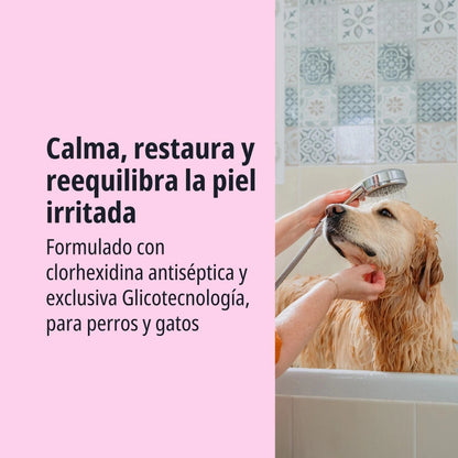 Golden Retriever mojado siendo bañado con ducha de mano en bañera, texto Calma restaura y reequilibra la piel irritada, formulado con clorhexidina antiséptica y exclusiva Glicotecnología para perros y gatos