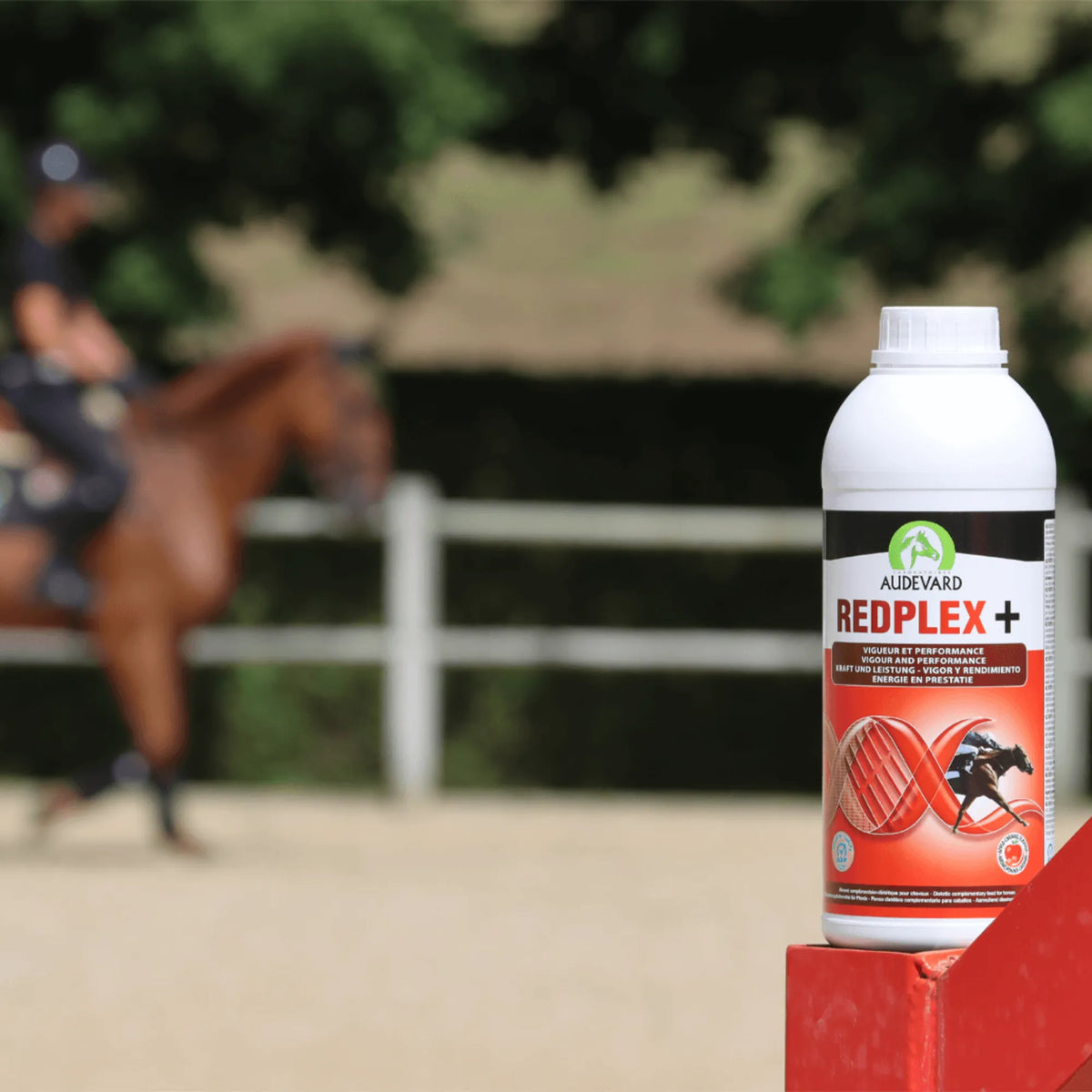 Caballo y jinete en pista exterior con el bote de Redplex Audevard vitaminas para caballos en primer plano