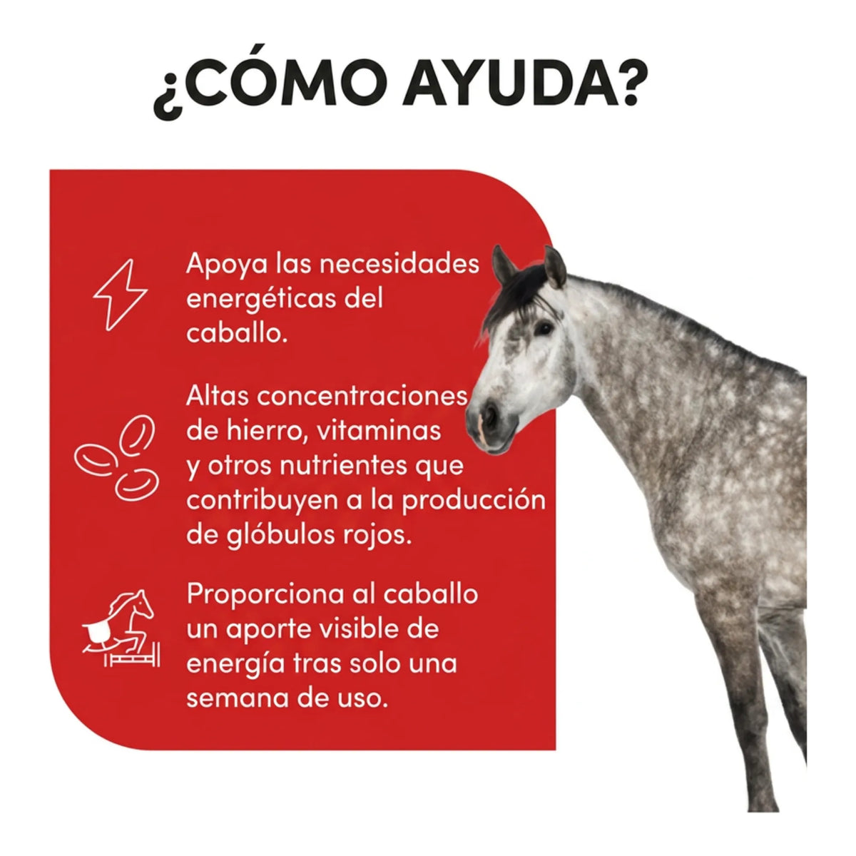 Infografía sobre cómo aporta energía y nutrientes al caballo con hierro y vitaminas