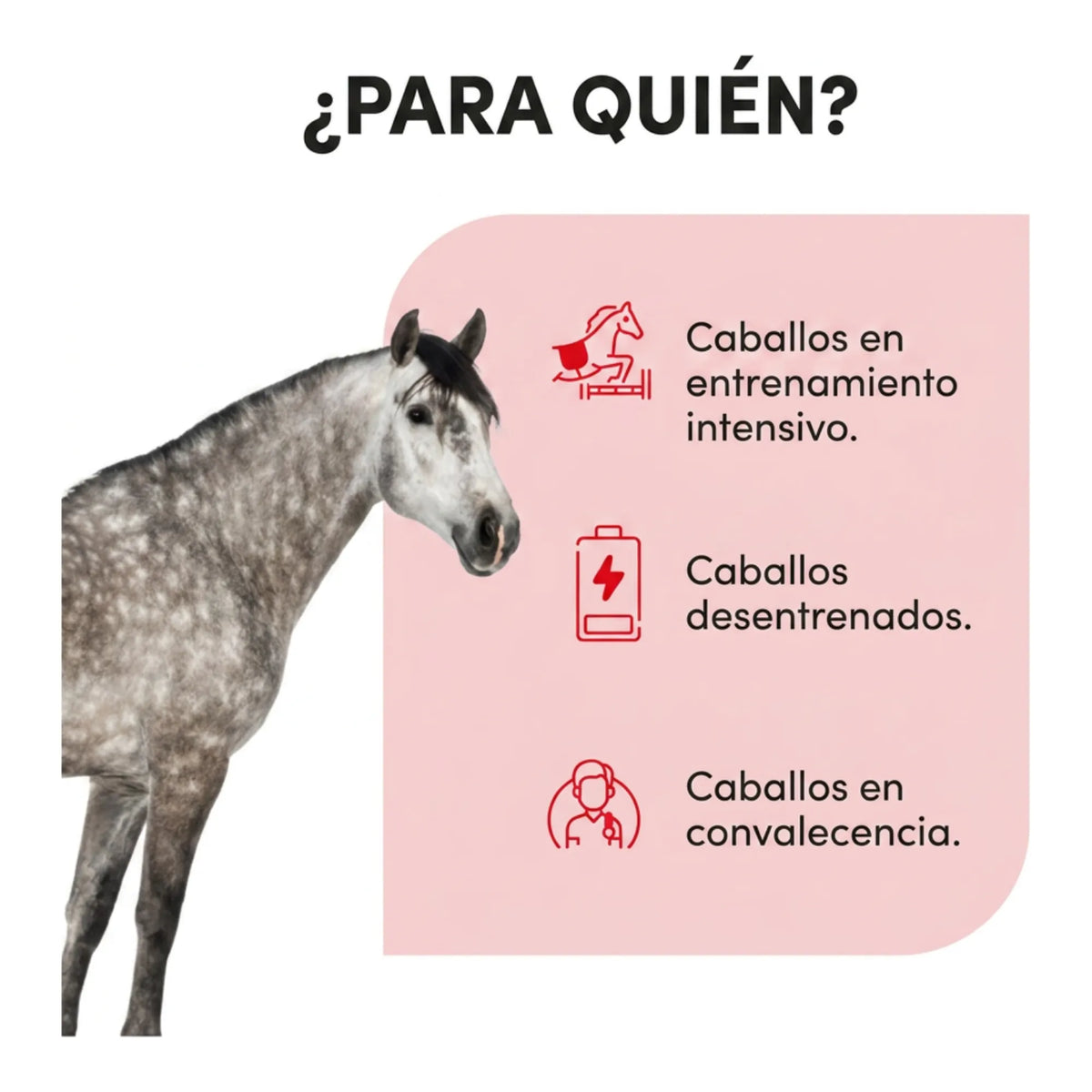 Infografía de para qué caballos se usa: entrenamiento intensivo, desentrenados y convalecencia