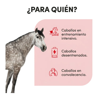 Infografía de para qué caballos se usa: entrenamiento intensivo, desentrenados y convalecencia