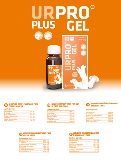 Ficha técnica oficial de Urpro Plus Gel con la composición por ml