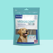 Bolsa Veggiedent FR3SH Virbac talla L de 15 snacks dentales para perros grandes de más de 30 kg, sobre fondo turquesa con Golden Retriever sonriendo en portada, sellos FR3SH Technology, Z-SHAPE y VOHC