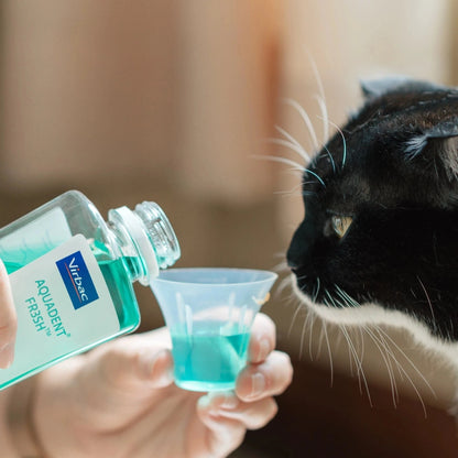 Gato de pelaje blanco y negro bicolor bebiendo de un vasito medidor con Vet Aquadent FR3SH Virbac que una persona vierte, en interior con bokeh cálido