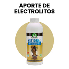 Botella de Vetidral Solution electrolitos para caballos sobre círculo dorado con el titular de aporte de electrolitos