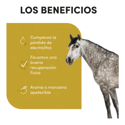 Infografía de beneficios: compensar la pérdida de electrolitos y favorecer la recuperación física