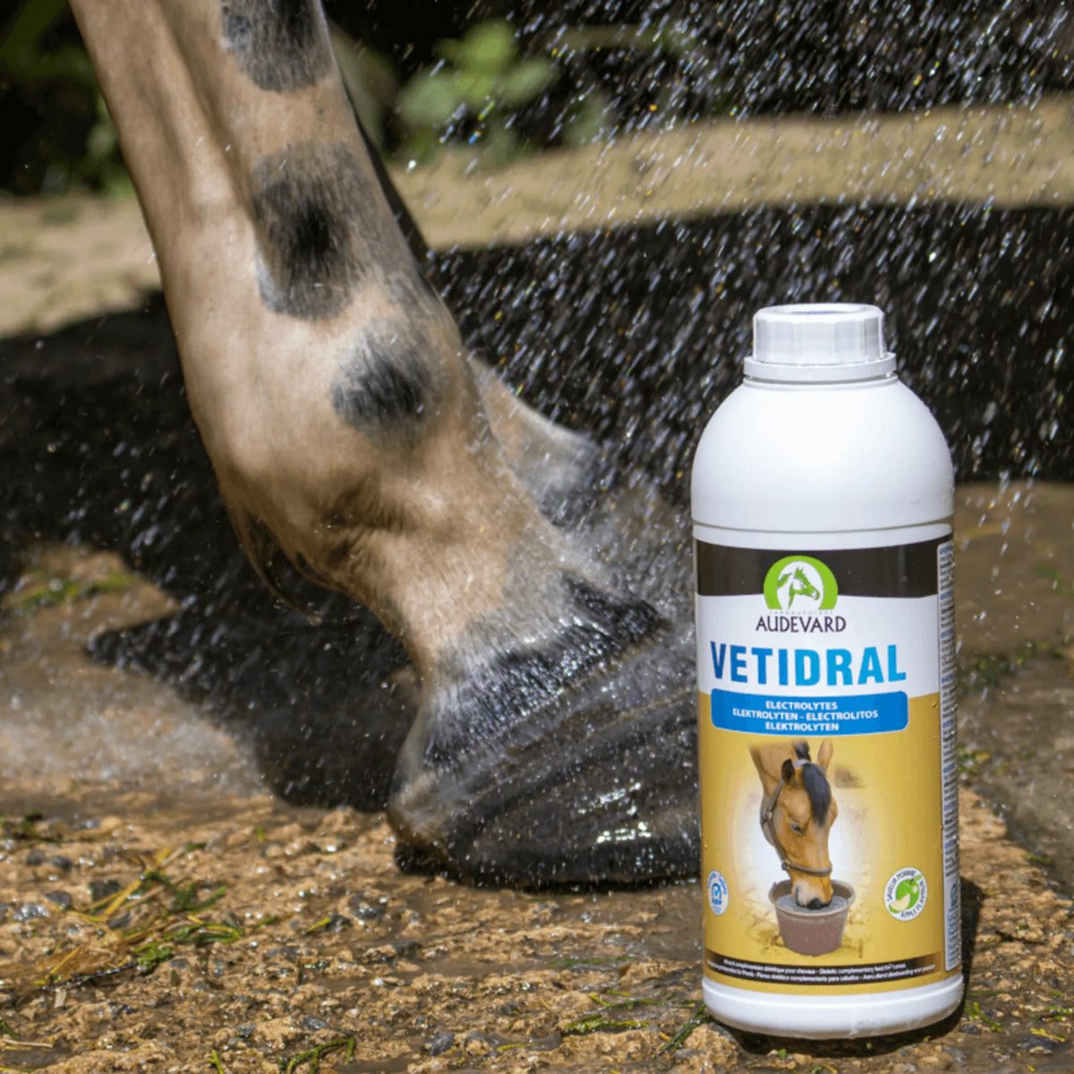 Botella de Vetidral Solution electrolitos para caballos junto a los cascos de un caballo sobre suelo embarrado