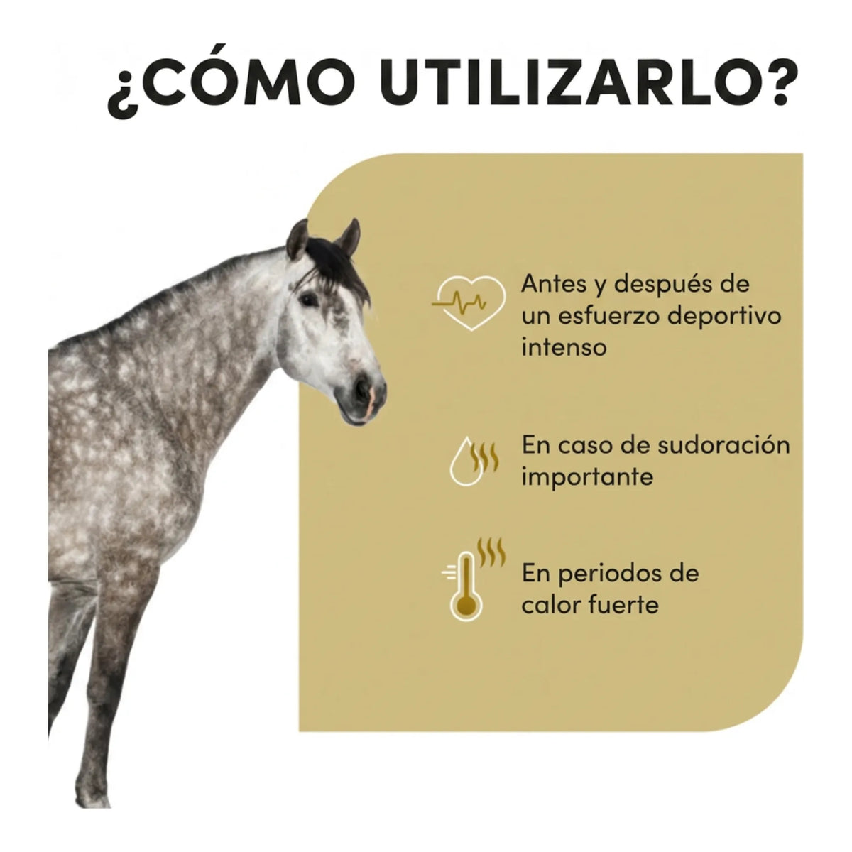 Infografía de cuándo utilizarlo: tras esfuerzo intenso, con sudoración importante y en calor