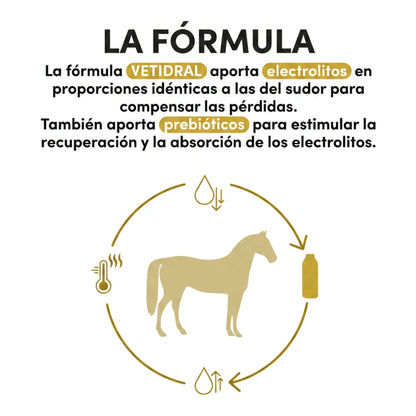 Esquema de la fórmula con electrolitos en proporciones idénticas a las del sudor del caballo