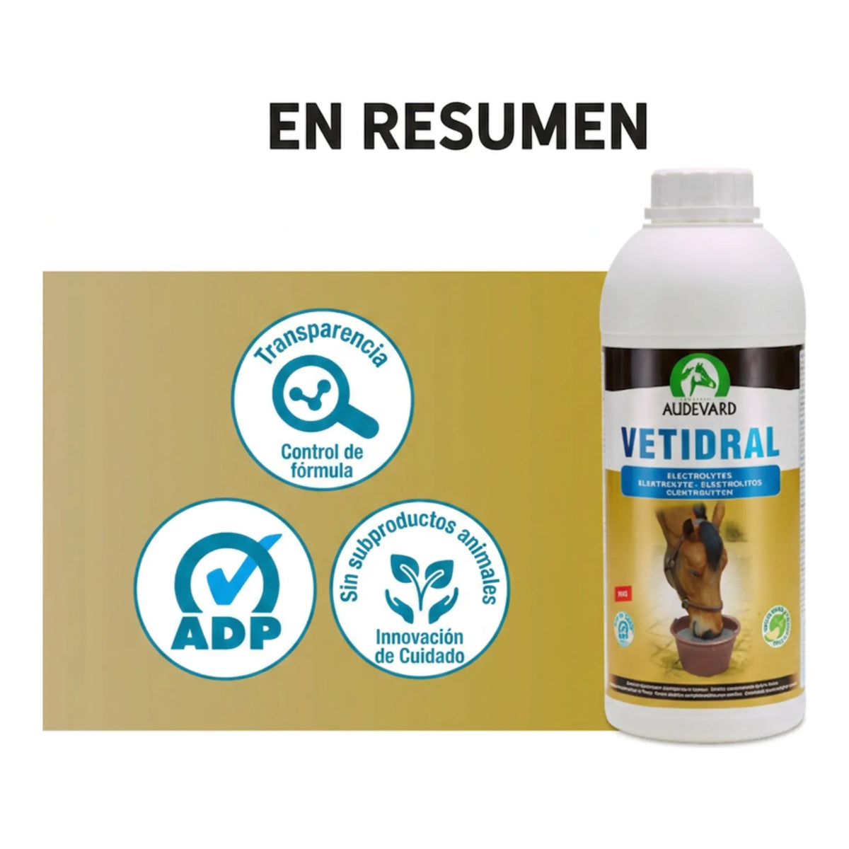 Resumen visual de Vetidral Solution electrolitos para caballos con sellos de calidad junto a la botella