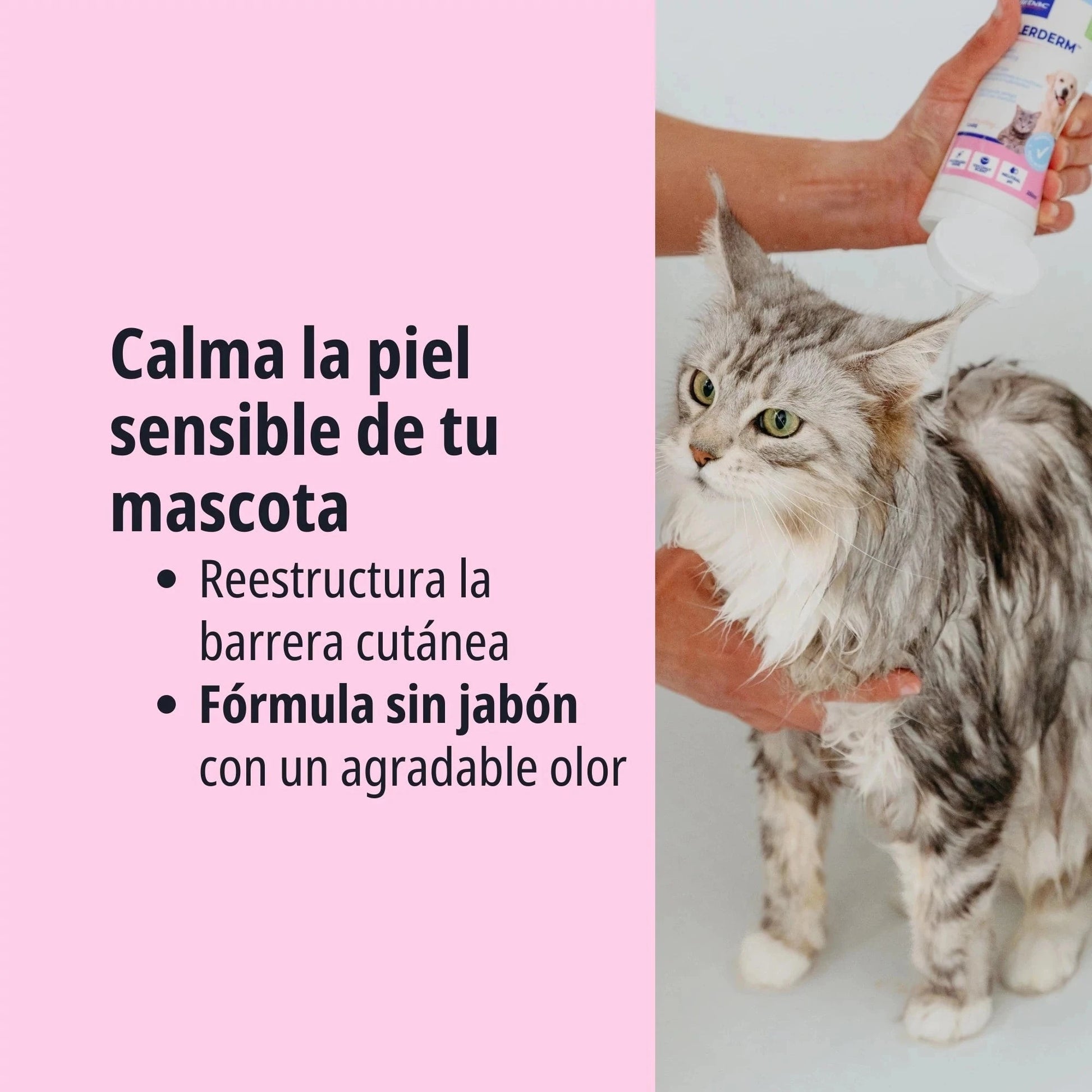 ALLERDERM CHAMPÚ PIEL SENSIBLE 250 ML