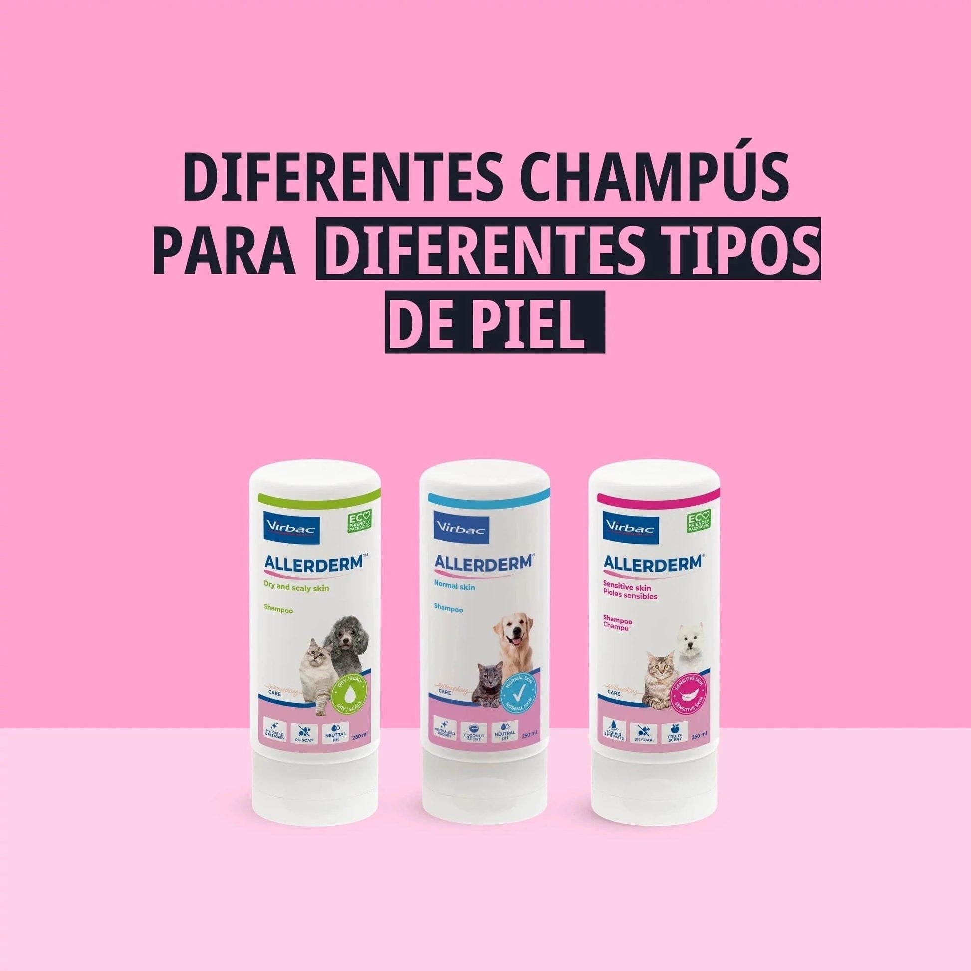 ALLERDERM CHAMPU PIEL NORMAL 250 ML