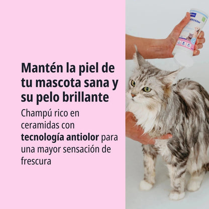 ALLERDERM CHAMPU PIEL NORMAL 250 ML