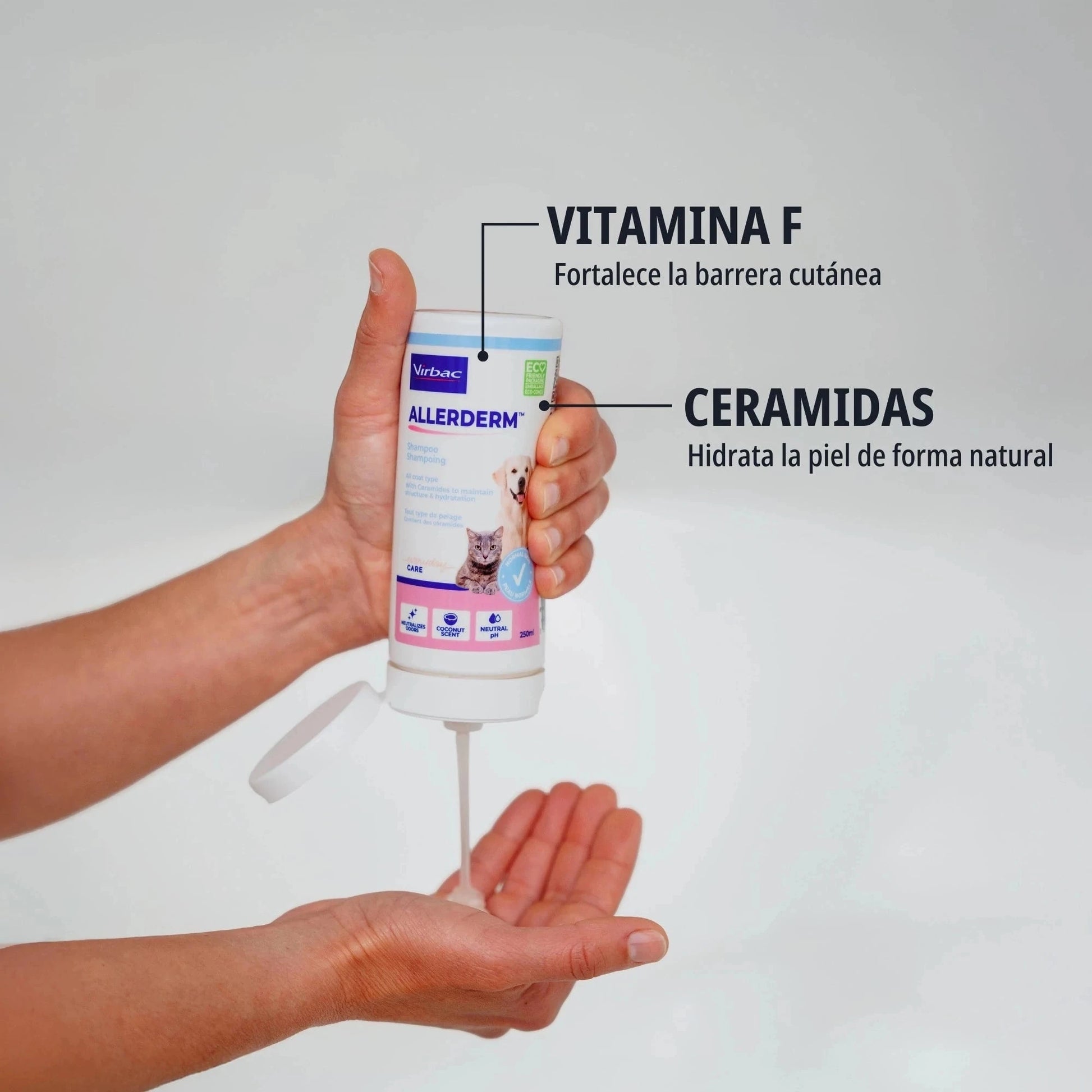 ALLERDERM CHAMPU PIEL NORMAL 250 ML