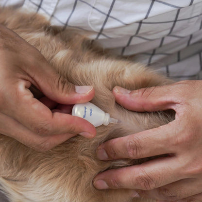 ALLERDERM SPOT-ON 2 ml 6 pip < 10 Kg