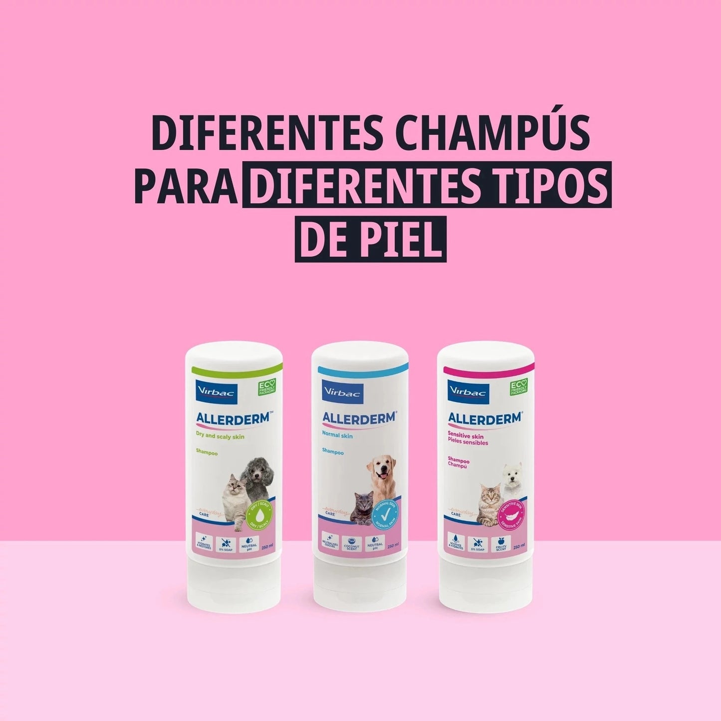 ALLERDERM CHAMPÚ PIEL SECA Y ESCAMOSA 250 ML
