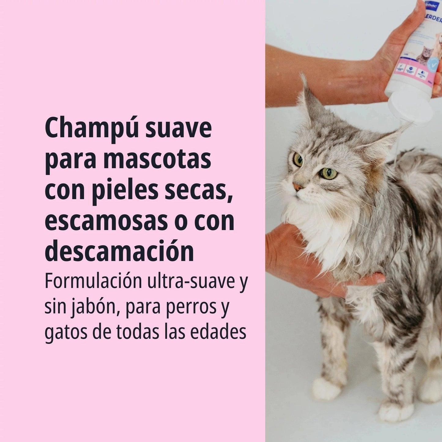 ALLERDERM CHAMPÚ PIEL SECA Y ESCAMOSA 250 ML