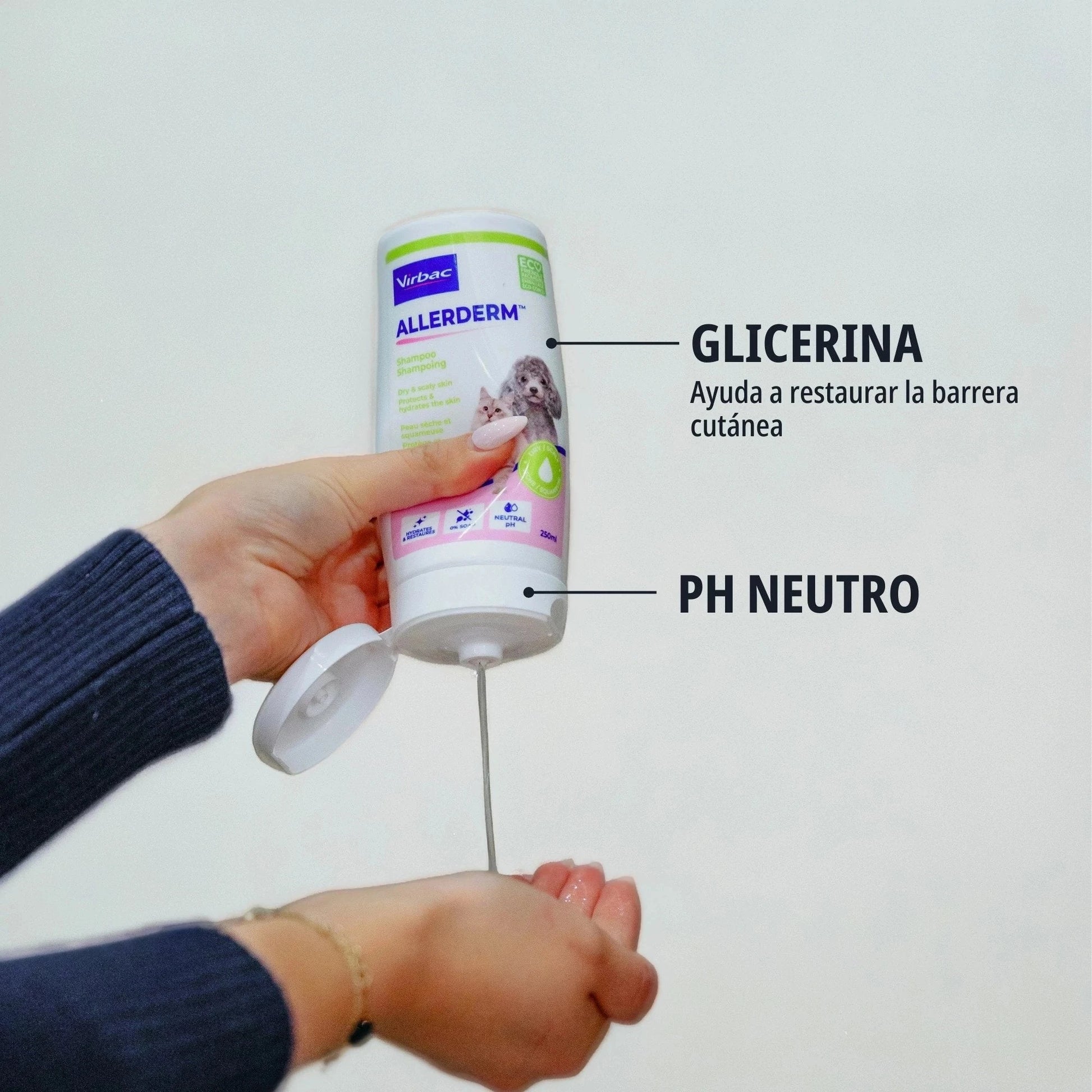 ALLERDERM CHAMPÚ PIEL SECA Y ESCAMOSA 250 ML