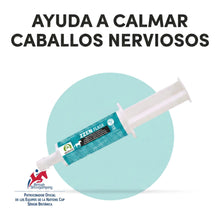 Infografía con la jeringa de Zzen Flash para caballos nerviosos
