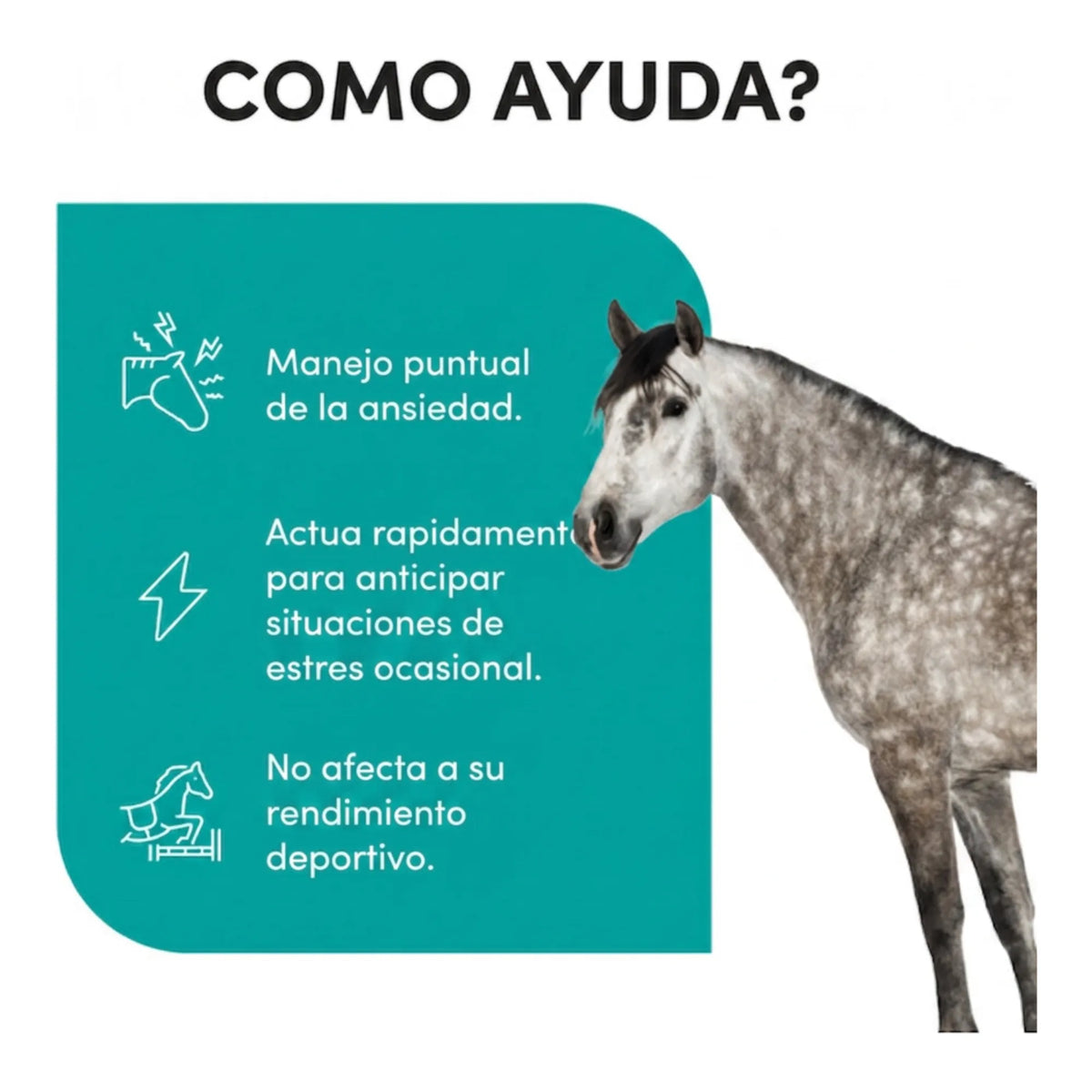 Infografía sobre situaciones de estrés ocasional, con un ejemplar tordo