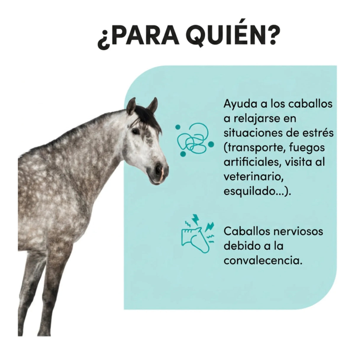 Infografía sobre a qué caballos va dirigido Zzen Flash Audevard para caballos, con caballo gris