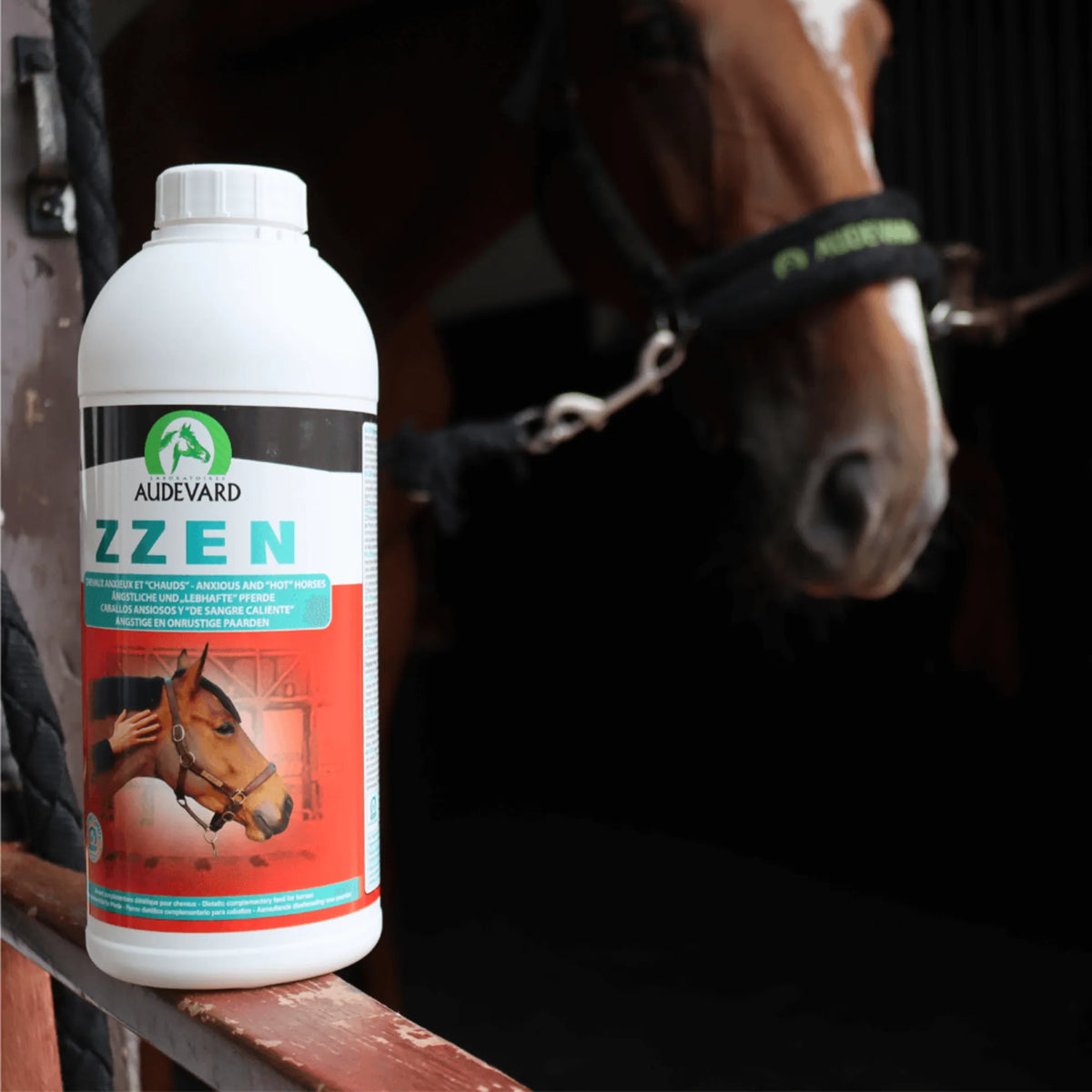 Zzen Audevard solución para caballos en la cuadra, con la botella junto a un caballo con cabezada azul