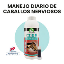 Infografía sobre el manejo diario de caballos nerviosos con la botella de Zzen