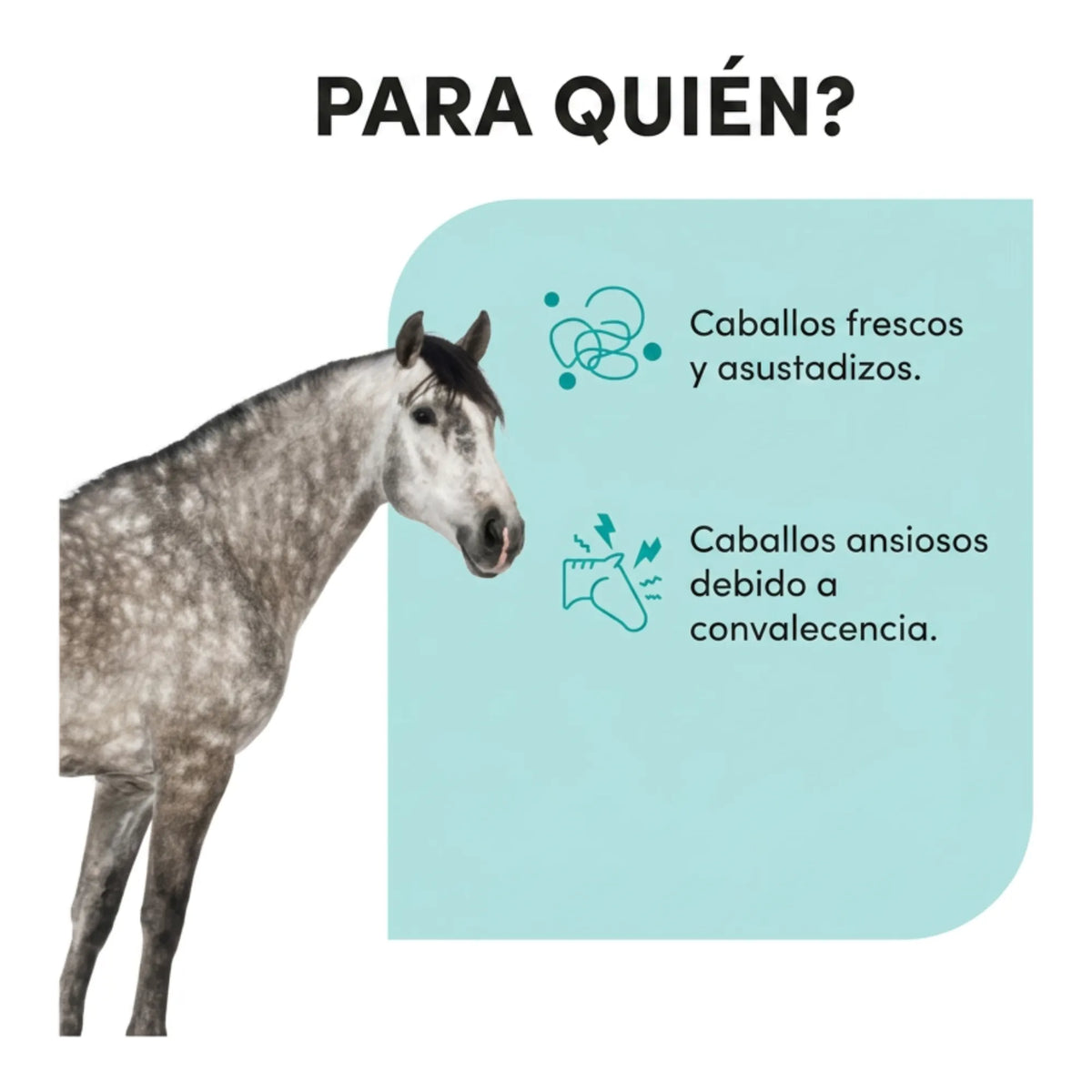 Infografía sobre a qué caballos va dirigido Zzen, frescos, asustadizos o en convalecencia